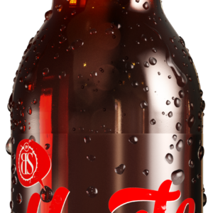 YAUTE COLA BIO  - 33cl